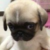 是上班时间很多