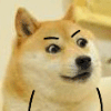 大大