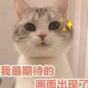 aHbfiiNT